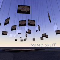 Mind-Split