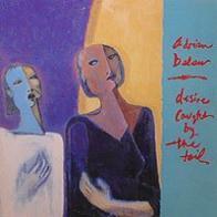 Adrian Belew - Desire Caught By The Tail