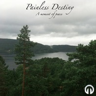 Painless Destiny - A moment of peace