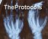 The Protocols - Parasite