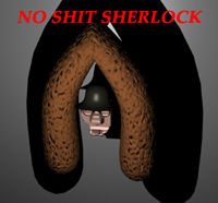 No Shit Sherlock
