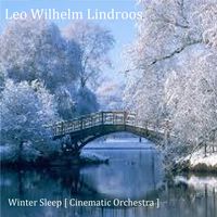 Leo Wilhelm Lindroos [ Winter Sleep ]