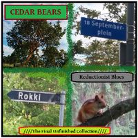 Cedar Bears - Reductionist Blues (2015)