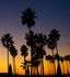 Teemujazz - L.A. Venice Beach Sunset