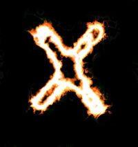 X-System