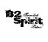 B2 Spirit - Huuto